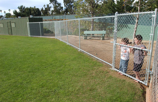 Emmett Eisen, 6, and his brother Aaron, 10, peer through the gate on the fence that was erected around the Field of Dreams to prevent vandalism.